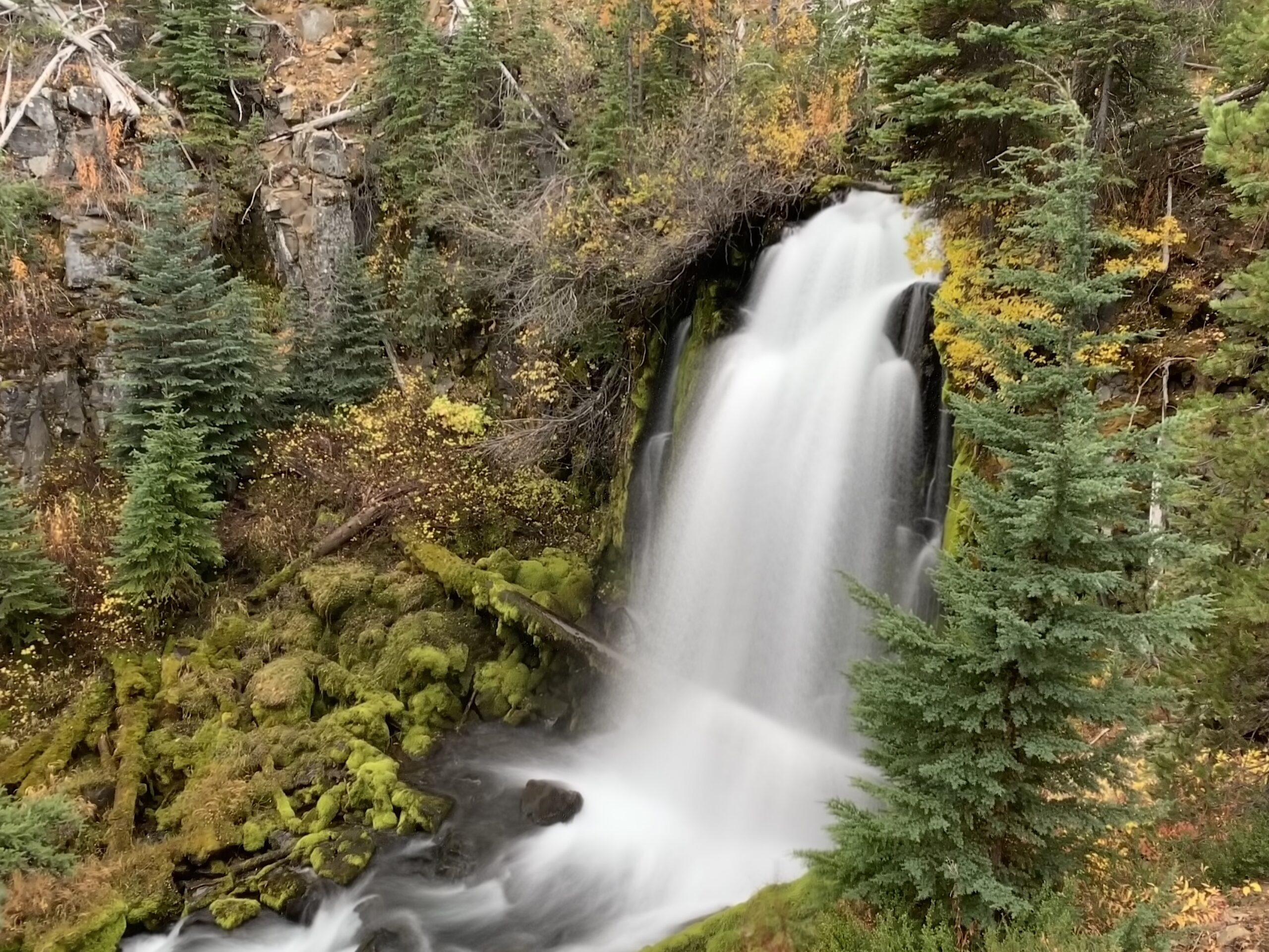 Bridge Creek in the Tumalo Mountain Roadless Area, by Sami Godlove