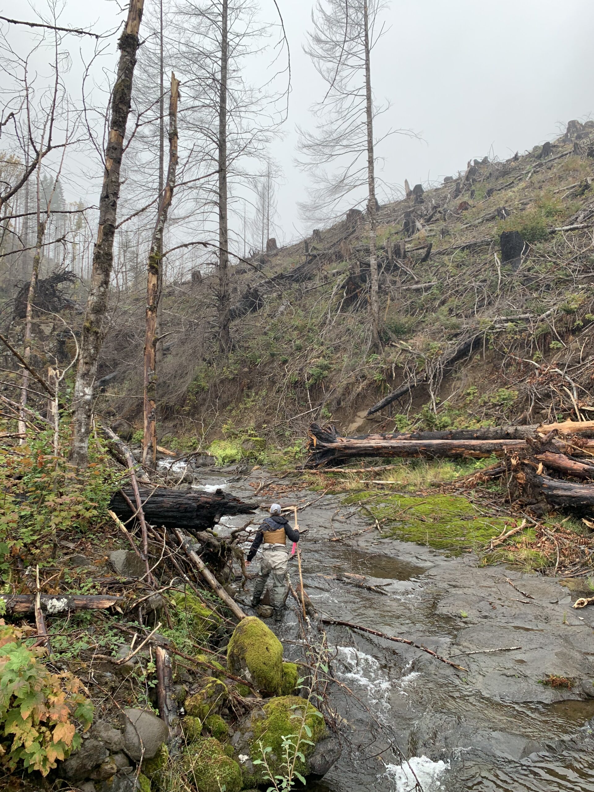 A hiker crosses a stream in Oregon by Sami Godlove