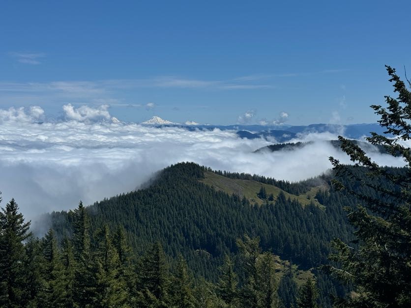 View from summit of Mount June