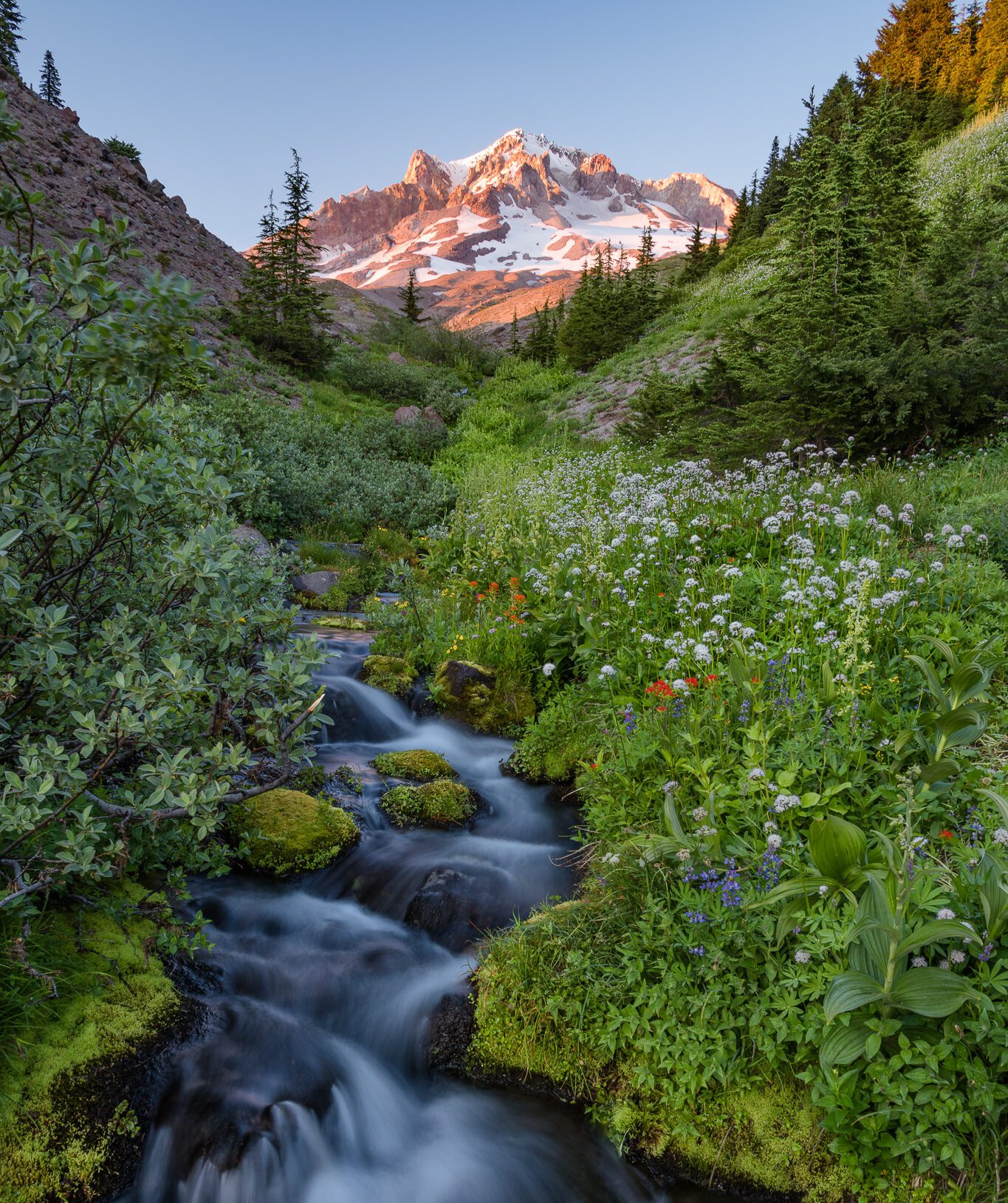 Mount Hood Paradise Park by James Parsons