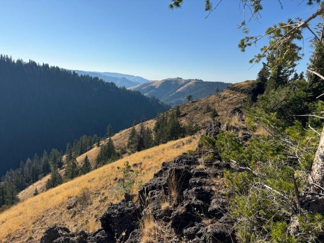 Ninemile Ridge Trail in the North Fork Umatilla Wilderness by Marina Richie