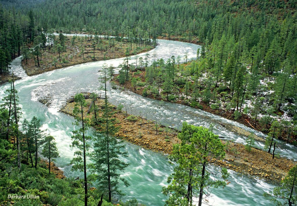 River Democracy Act Highlights: Rough and Ready Creek