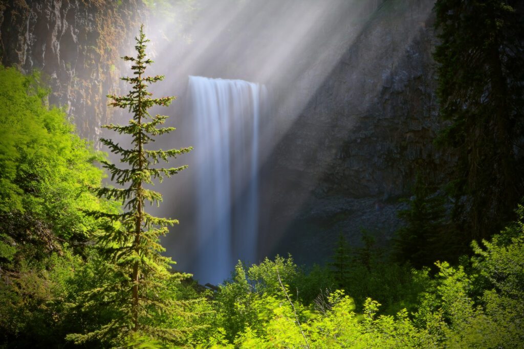 Logging Project in Proposed Mount Hood Wilderness Postponed Indefinitely