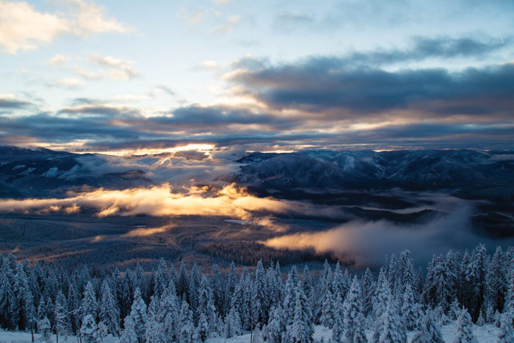 Forest Service releases “dangerously vague” proposal to amend the Northwest Forest Plan