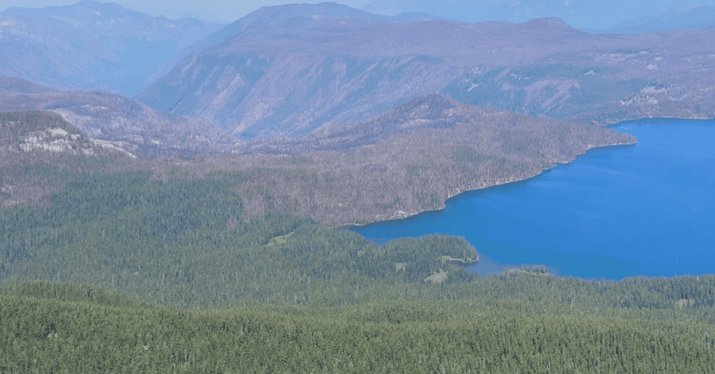 Fire and diversity in the Cedar Creek Fire area