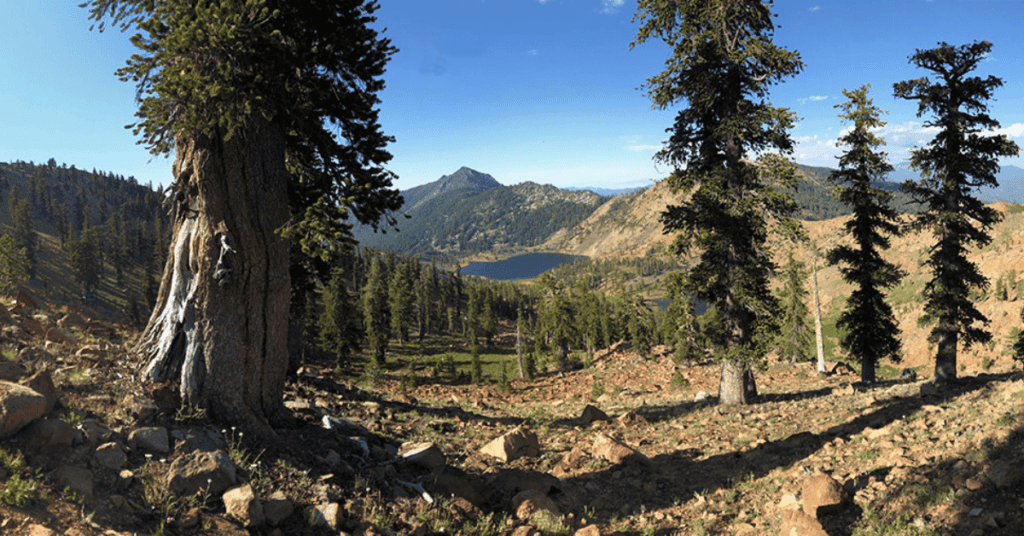 The Wonder of the Klamath Mountains