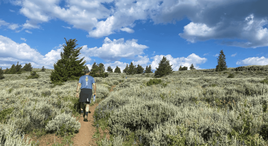 Lookout Mountain: Roadless Beacon of the Ochocos