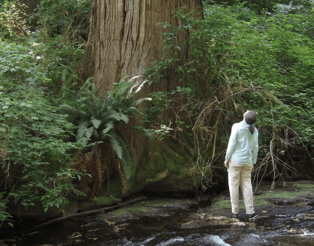 Devil's Staircase in Oregon by David Tvedt