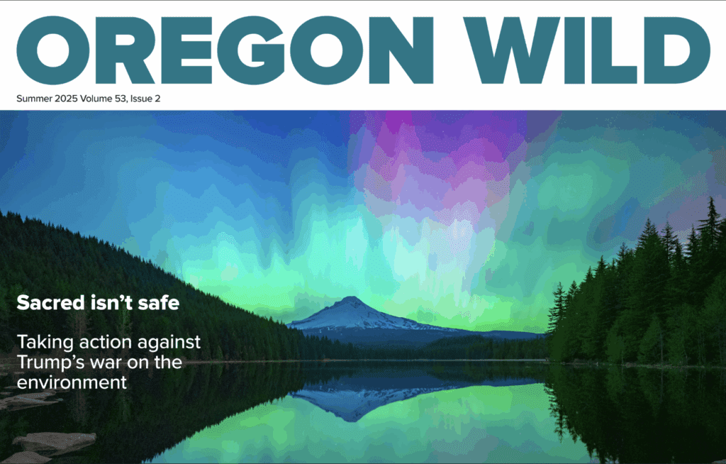 Summer 2025 Newsletter