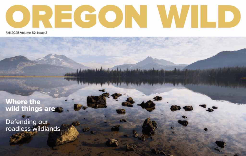 Fall 2025 Newsletter